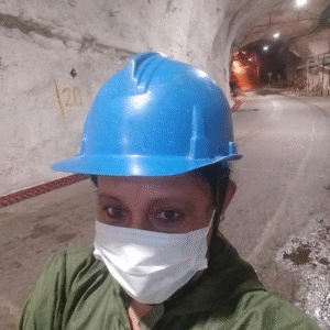 DIANA HERNANDEZ PROFESIONAL SST - LICENCIA 2025 - código 5587